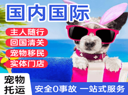 长治王村空运国际宠物托运 【国